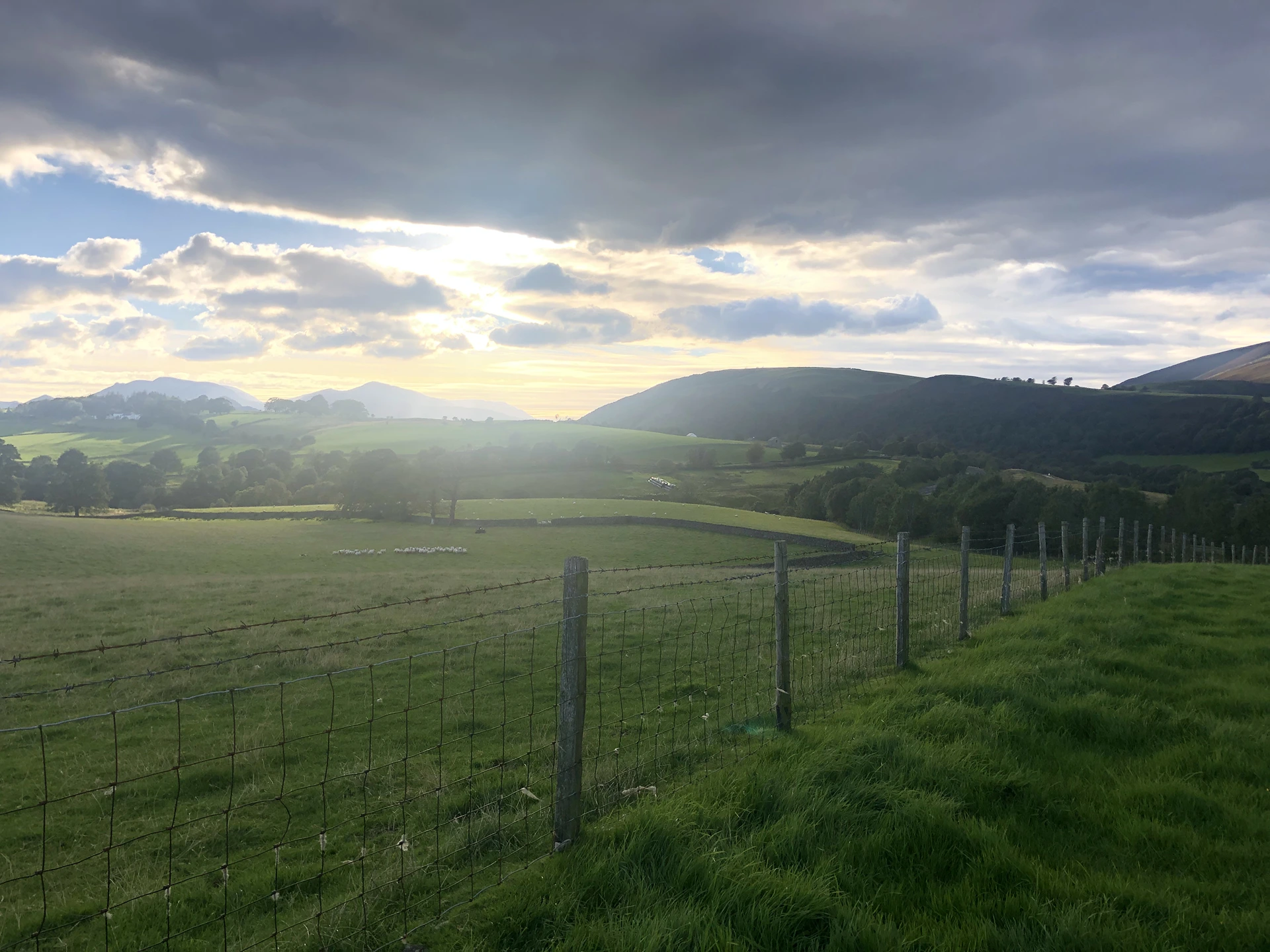 Camping guides and journal